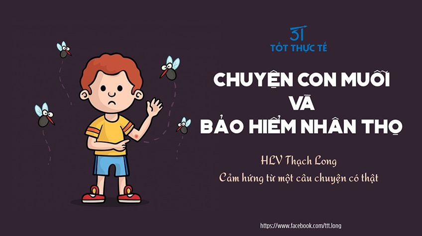 CHUYỆN CON MUỖI và BHNT.